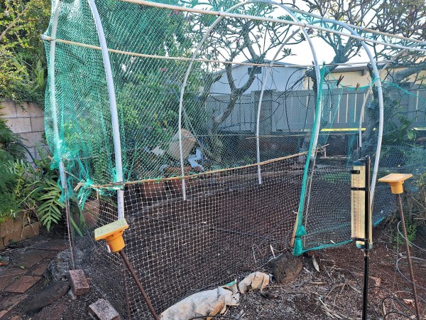bird netting on 3/4 inch pvc frame. The garden is not square so the height and width of the hoops vary.  I needed to get help putting the netting on.  It did not reach across and I had to patch it which was hard for one person to do.
